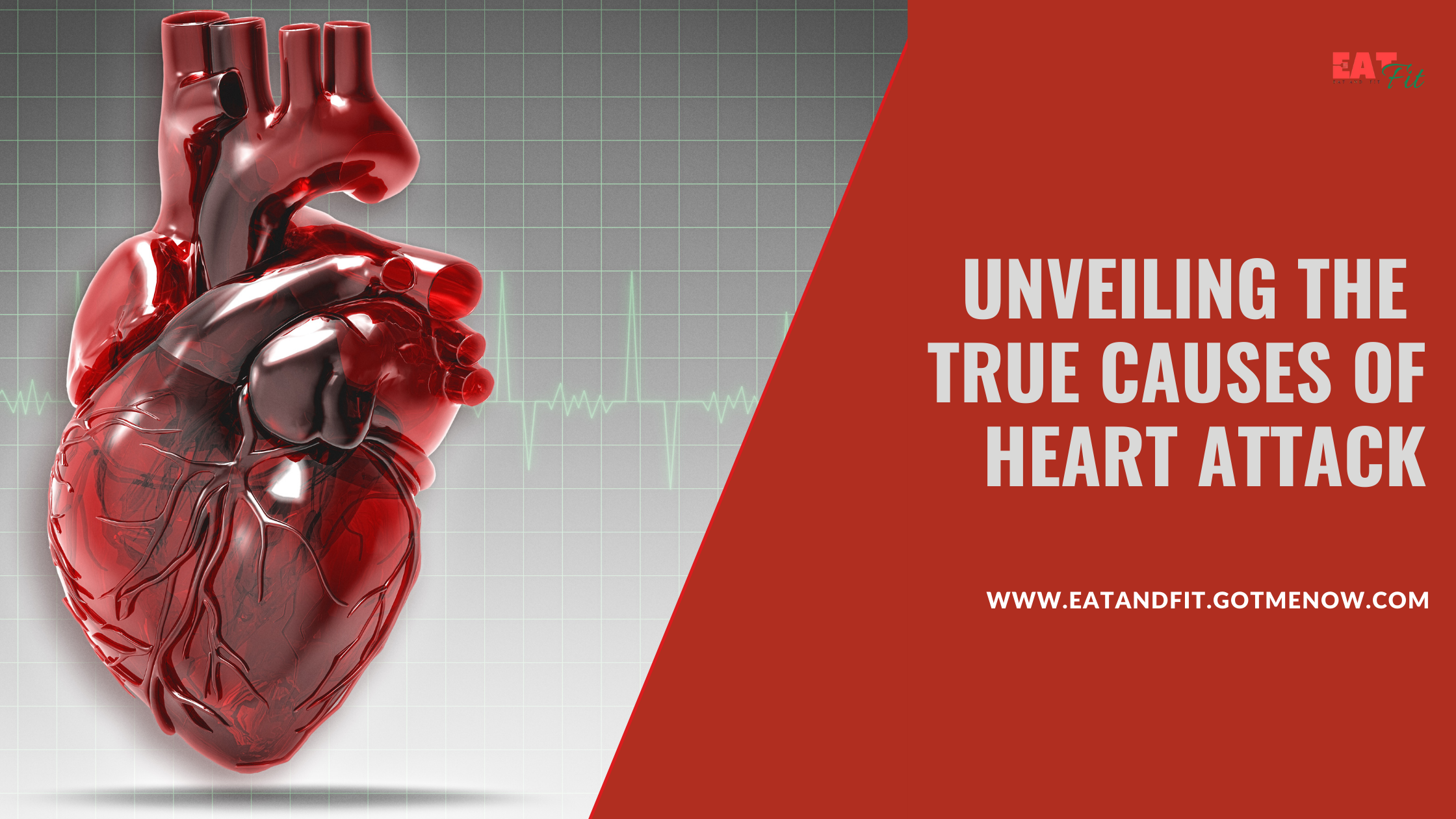 true causes of heart attacks