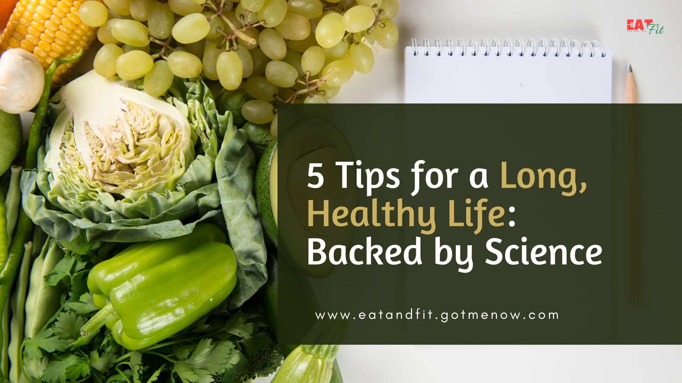 5 Scientifically-Backed Tips for Living a Long and Healthy Life